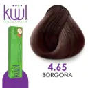 Borgoña 4.65